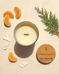 Overhead flat lay of the Perseverance crystal-infused soy candle by The Phoenix Candles, open matte cream vessel with wooden wick centered, cork lid laser-engraved with "Perseverance – Infused with Tiger's Eye, Mandarin, Sea Gardenia, Cypress" placed to the lower right, surrounded by fresh mandarin segments, scattered white gardenia petals, and a cypress sprig on a warm cream background with dramatic natural light and shadow.